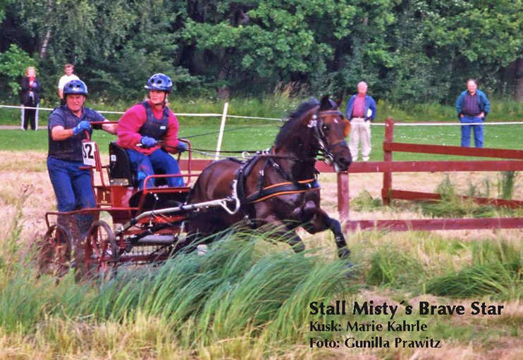 Stall Misty's Brave Star