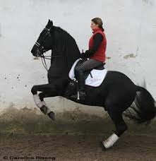 Rain Storm Shadow 21. Foto: Caroline Riseng