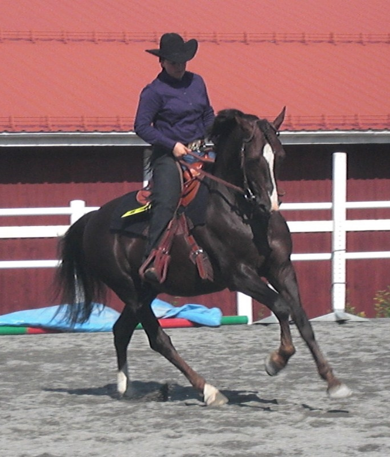 Hagas Barnum-Skip 25