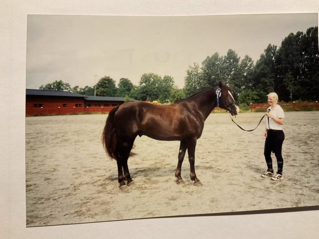 Tronshagens Stardust 2 år